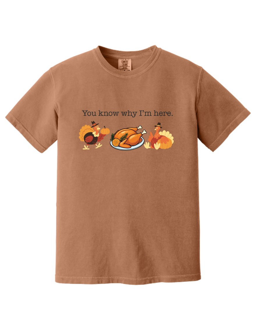 Thanksgiving "You Know Why I'm Here" Tshirt