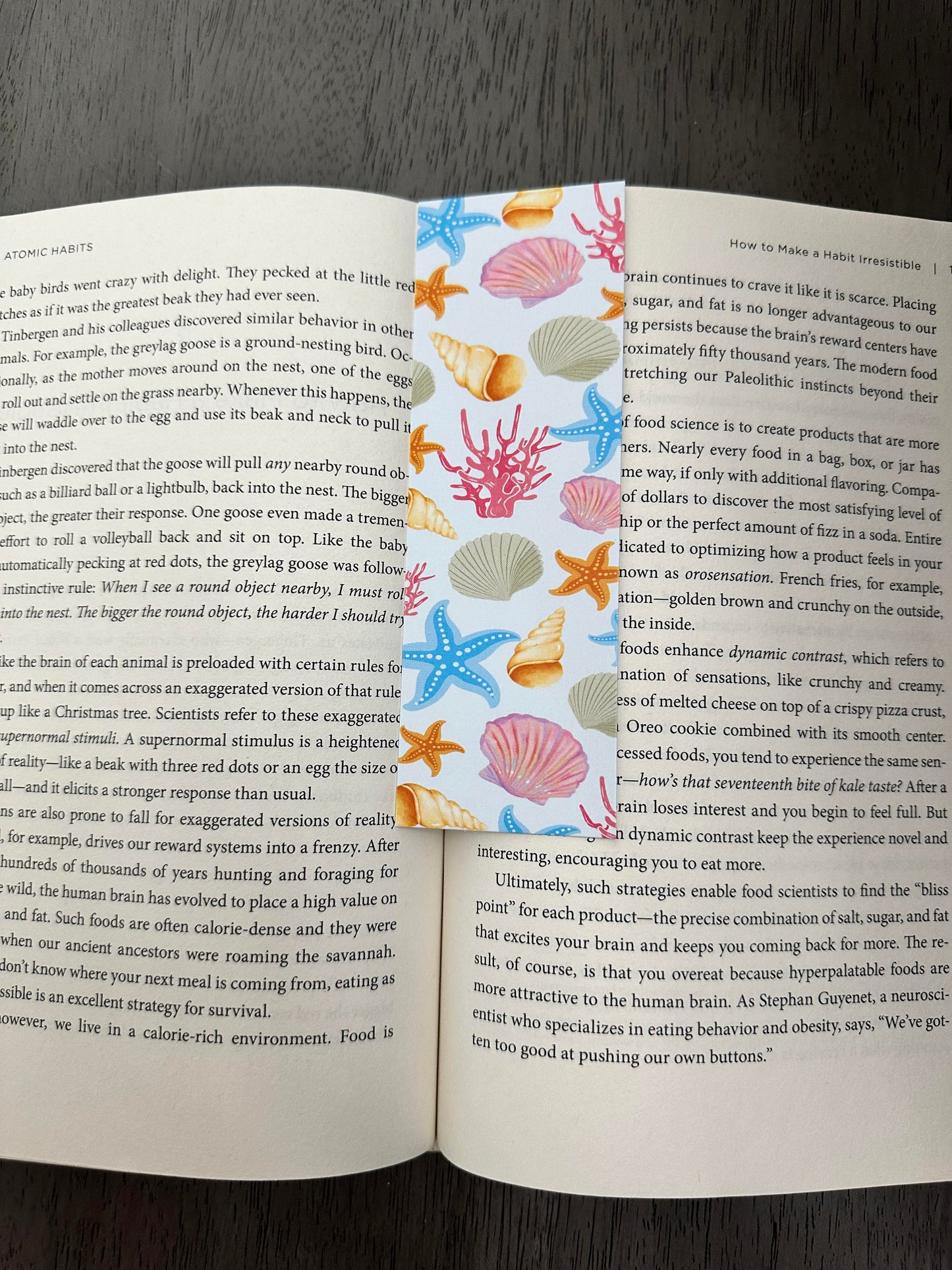 Beach Bookmark Bundle
