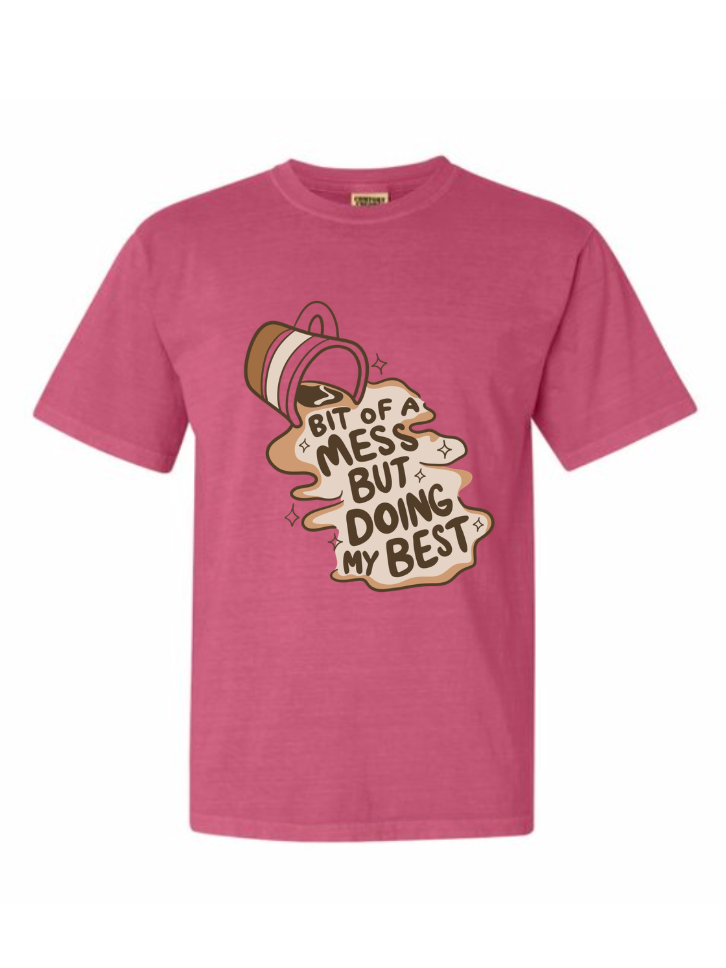 Bit of a Mess Tshirt/Crewneck