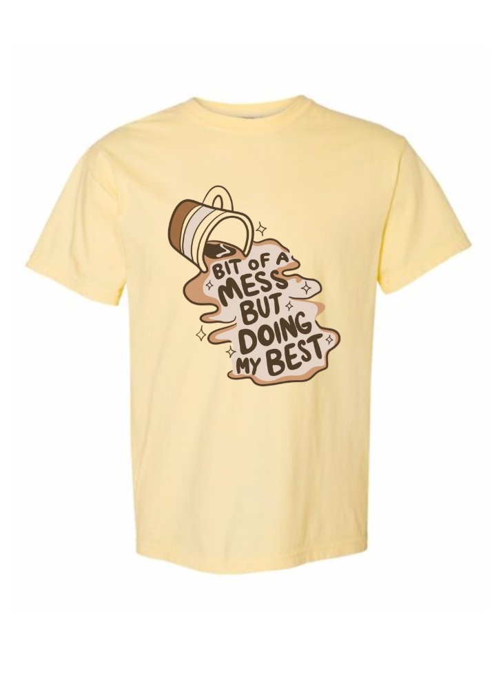 Bit of a Mess Tshirt/Crewneck