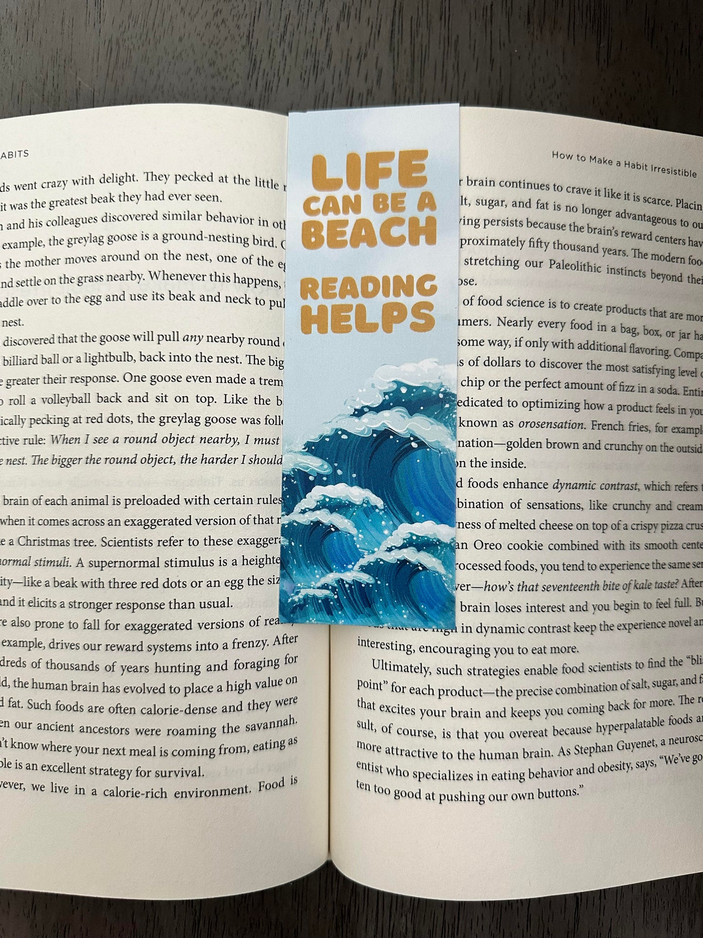 Beach Bookmark Bundle